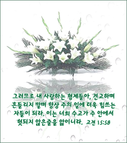기쁜날의축제 이미지