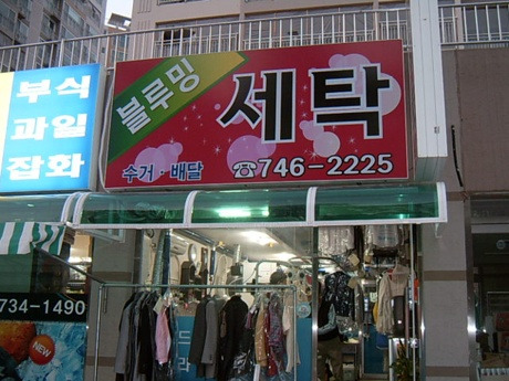 장미세탁 이미지