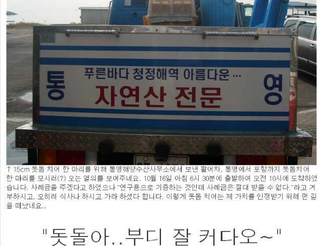 영횟집 이미지