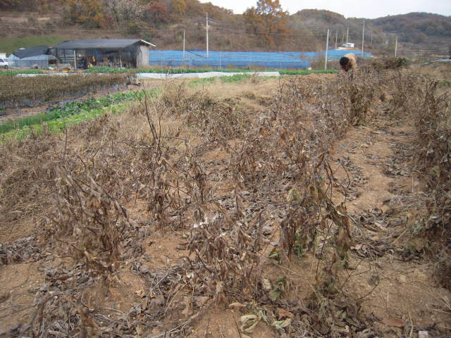 평밭농장 이미지