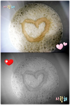 달콩이 이미지