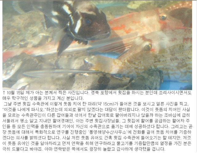 영횟집 이미지
